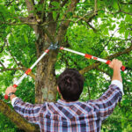 Makaze za grane teleskopske WOLF Garten Power Cut RS 900 - Slika 2