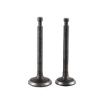 Ventili Honda GX 240. 270  set